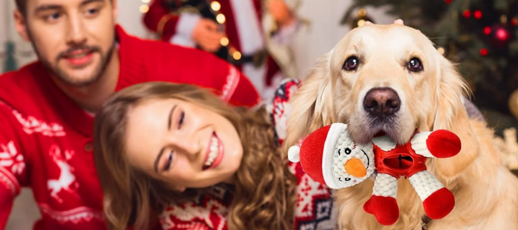 Christmas dog and cat toys, gifts under $20 - DogboxX