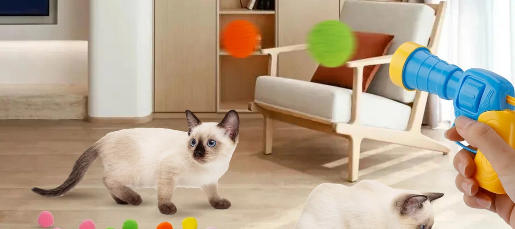 Cats playing. Catboxx products collection - DogBox