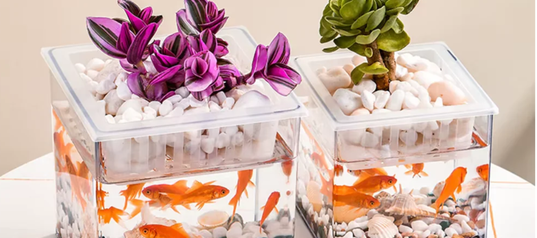 Unique desktop fish tank styles - DogBox