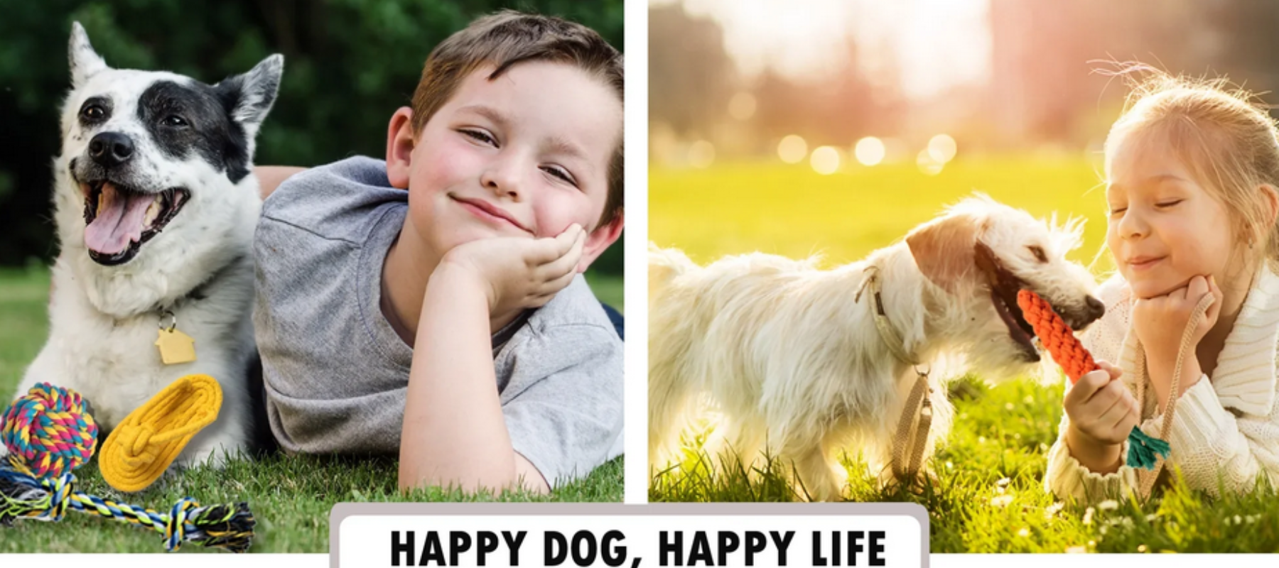 Dog Toys, Ropes, Plush Toys and Aggressive Chew Toys - DogBox