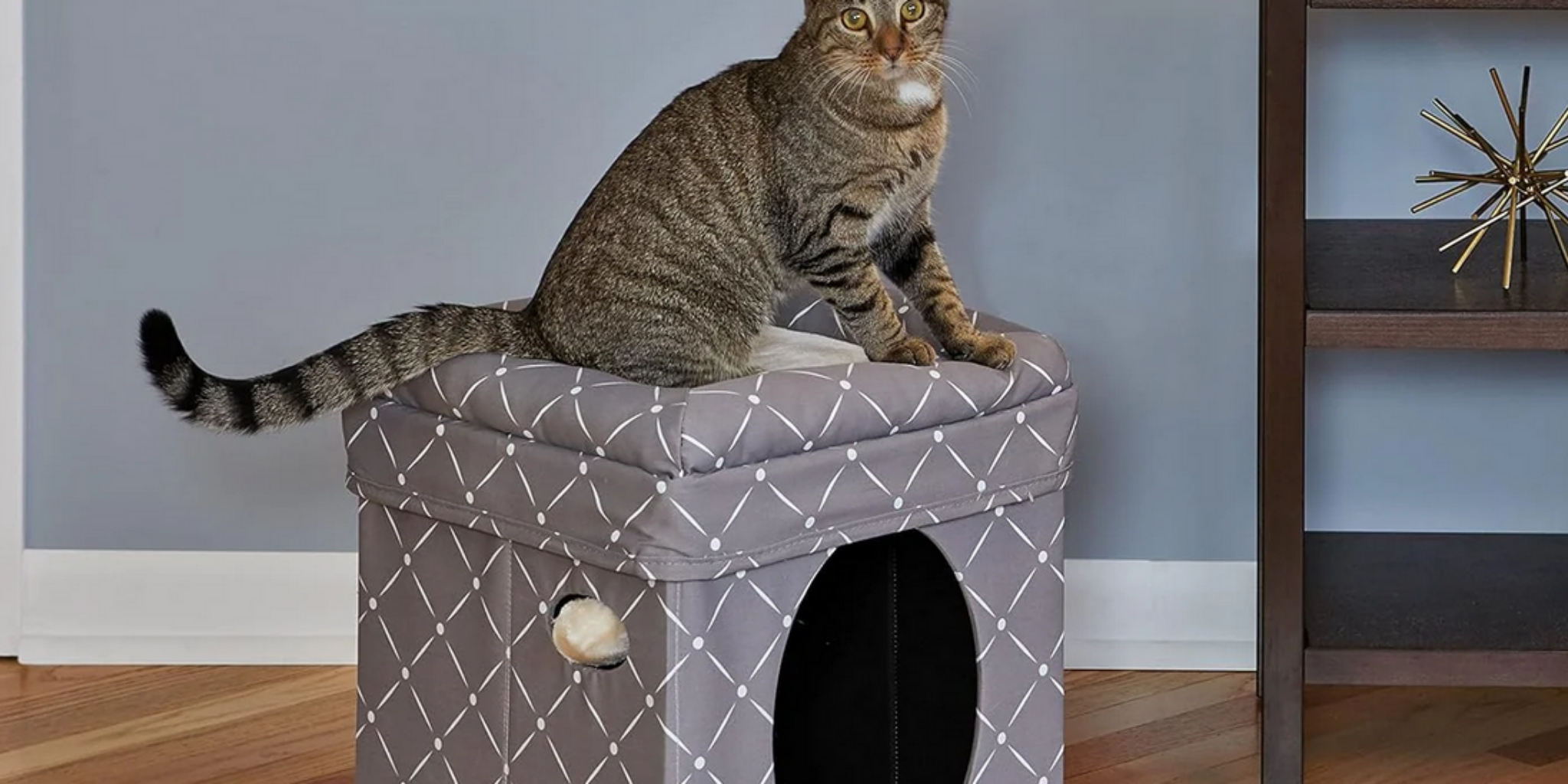 Cat bed variety, tall, short or small - DogboxX