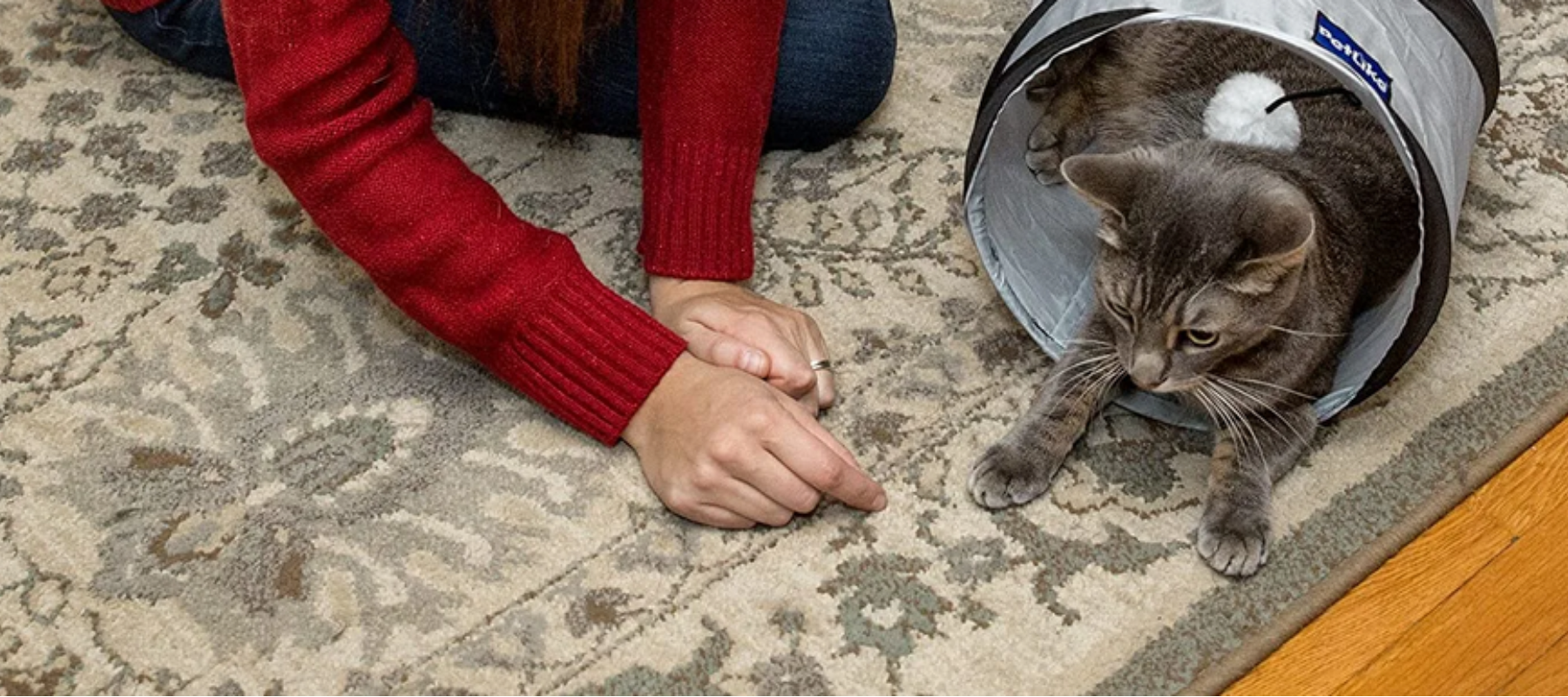 Various types and colors of cat toys - DogBox