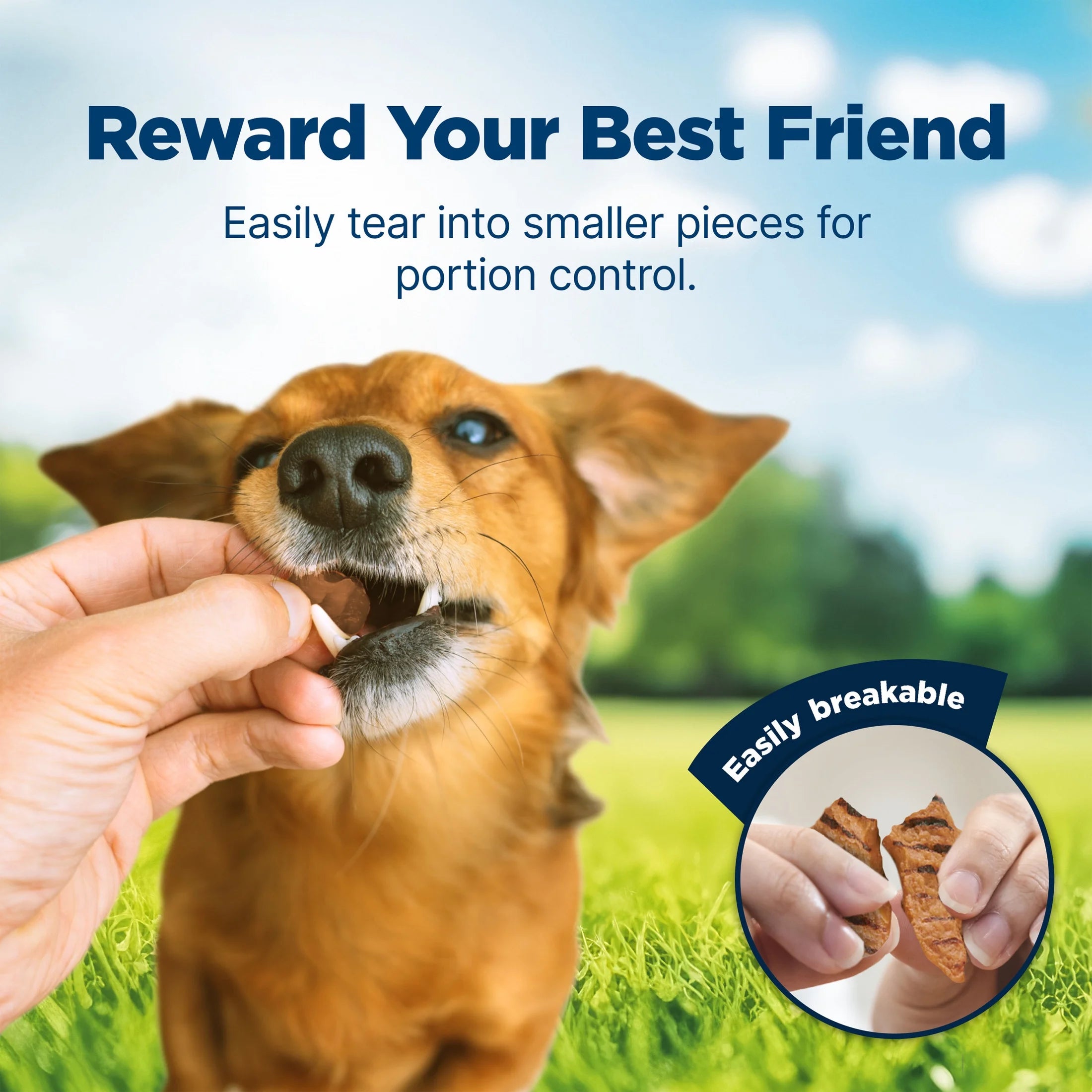 Nudges Grillers Natural Dog Treats Made with Real Chicken, 16-Oz. Bag