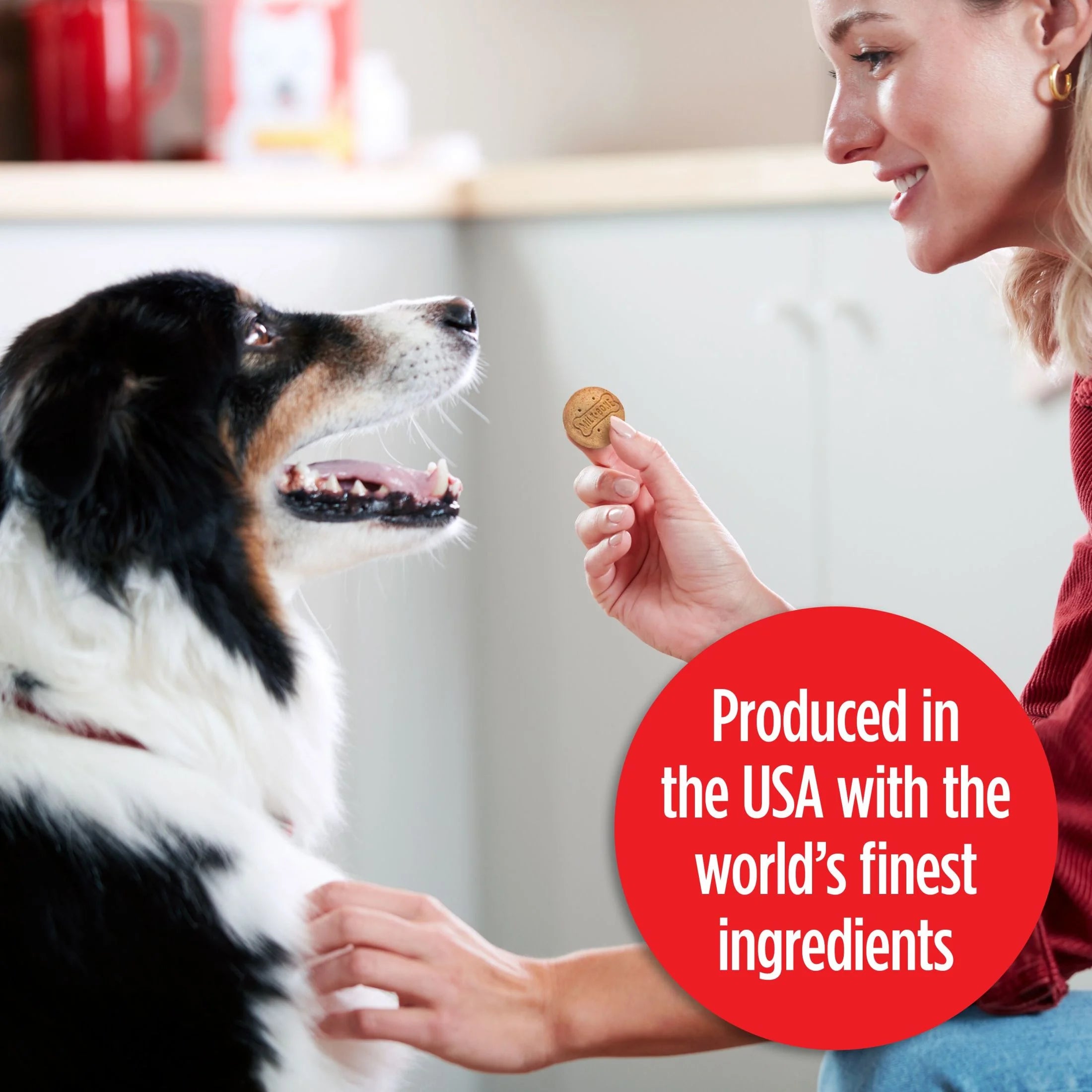 Milk Bone Stacked Dog Biscuits, Molasses & Peanut Butter Flavor, Naturally & Artificially Flavored, 10 Oz