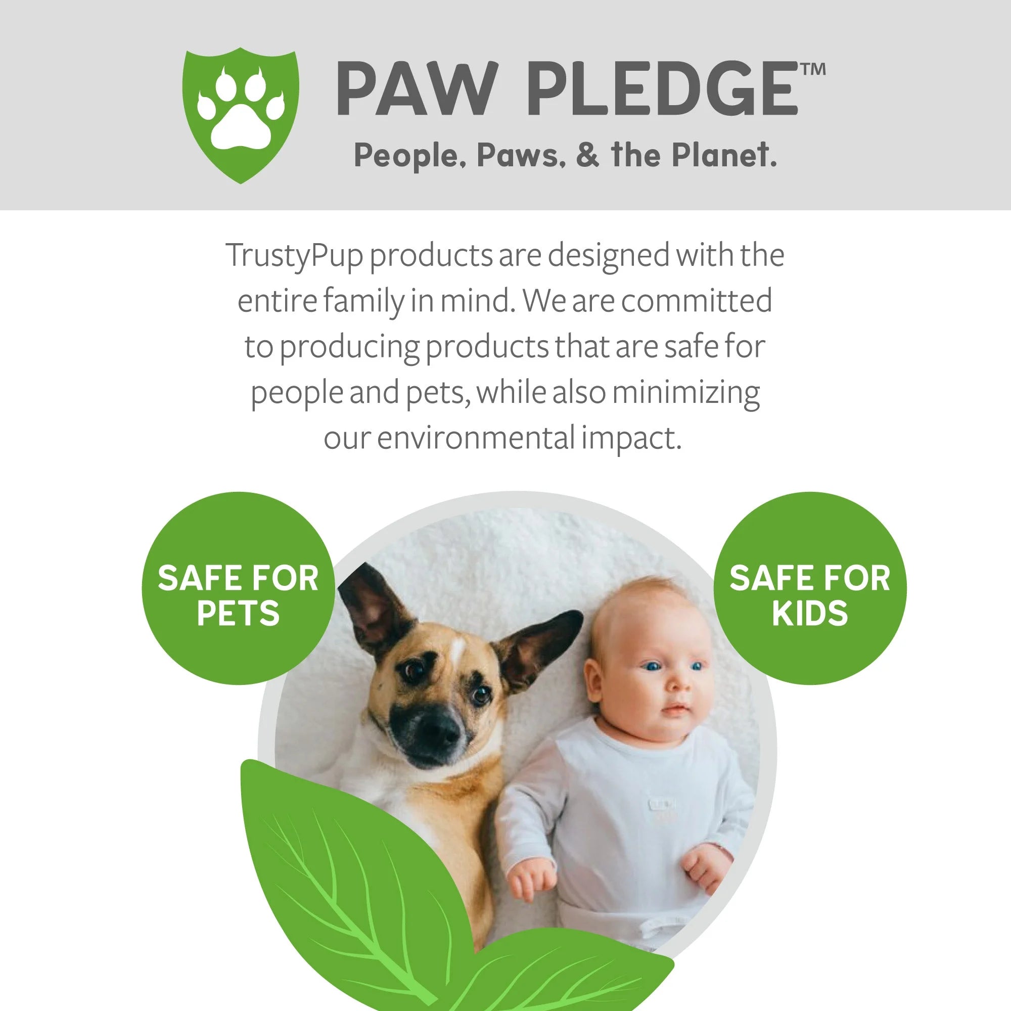 Donut Squeaky Plush Chew Guard Dog Toy, Small