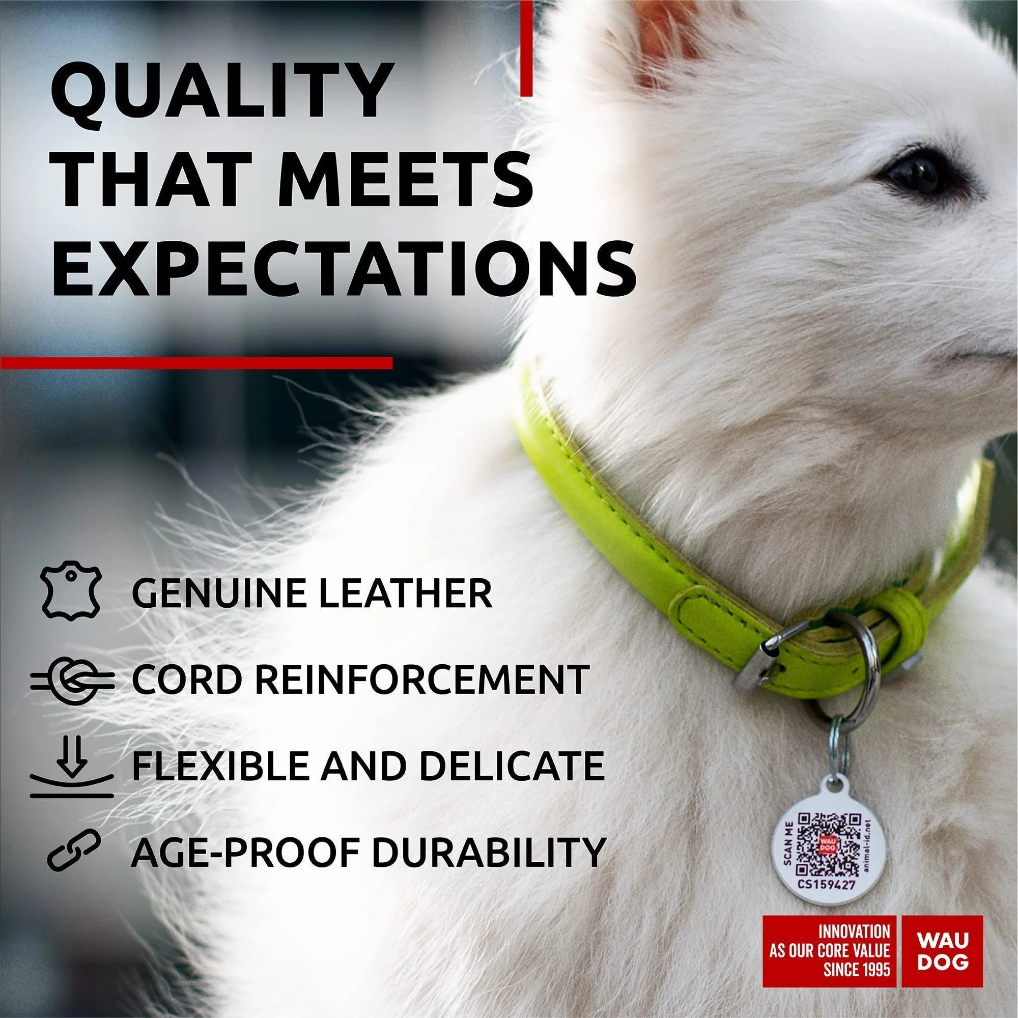 Ultra Soft Rolled Leather Dog Collar for Small Dogs Soft Padded Dog Collars for Medium Dogs Puppy Collars for Large Breed Dogs Male and Female Dog Collar