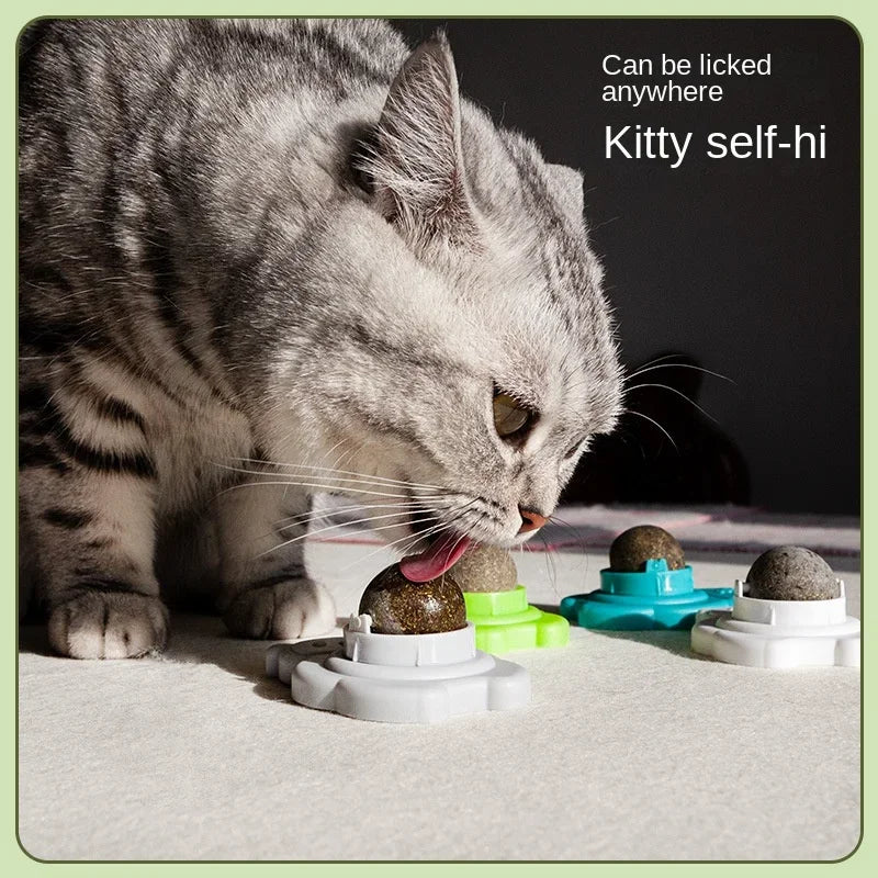 Catnip Wall Spin Ball - Natural Mint for Cats