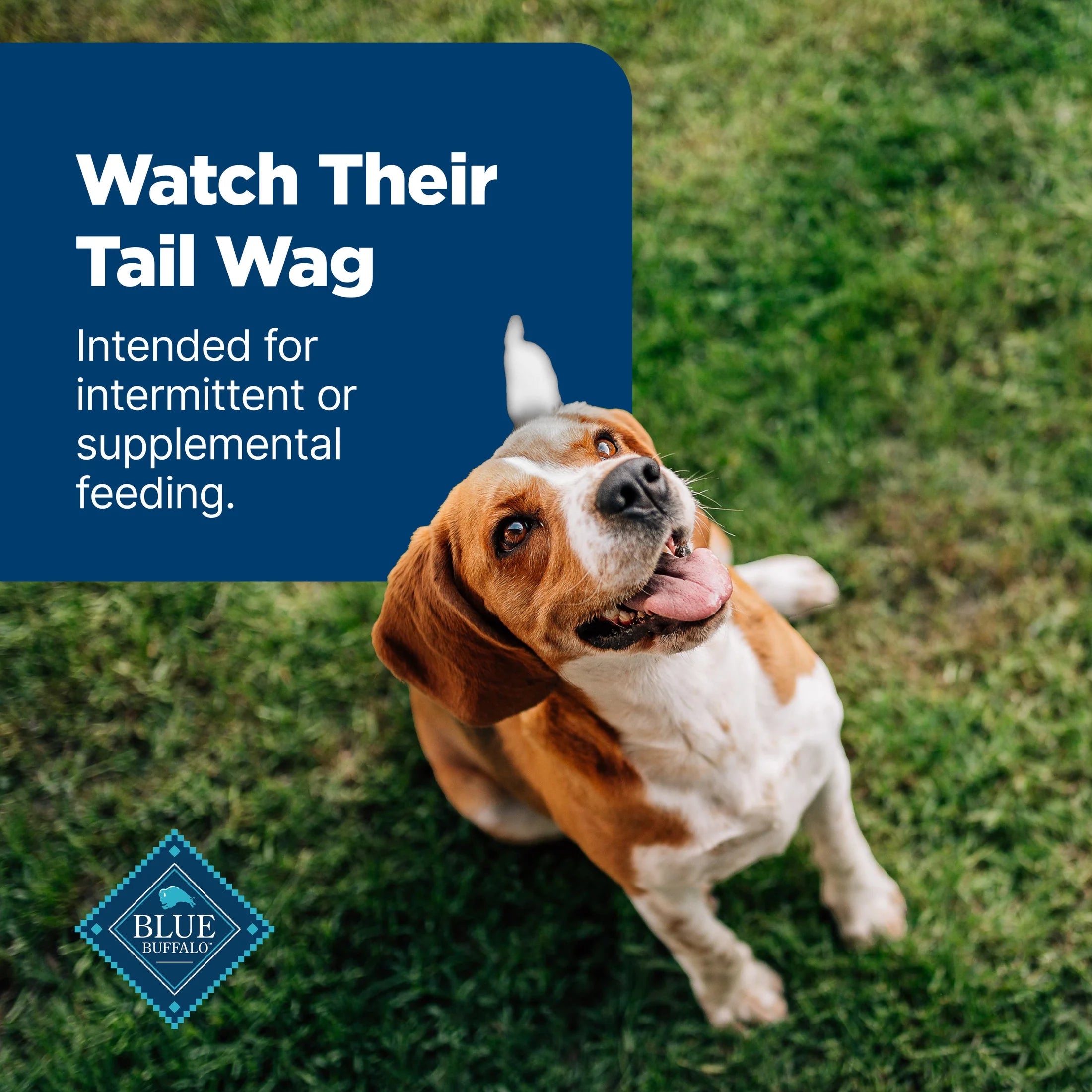 Nudges Tender Jerky Dog Treats, Chicken Recipe, 5-Oz. Bag