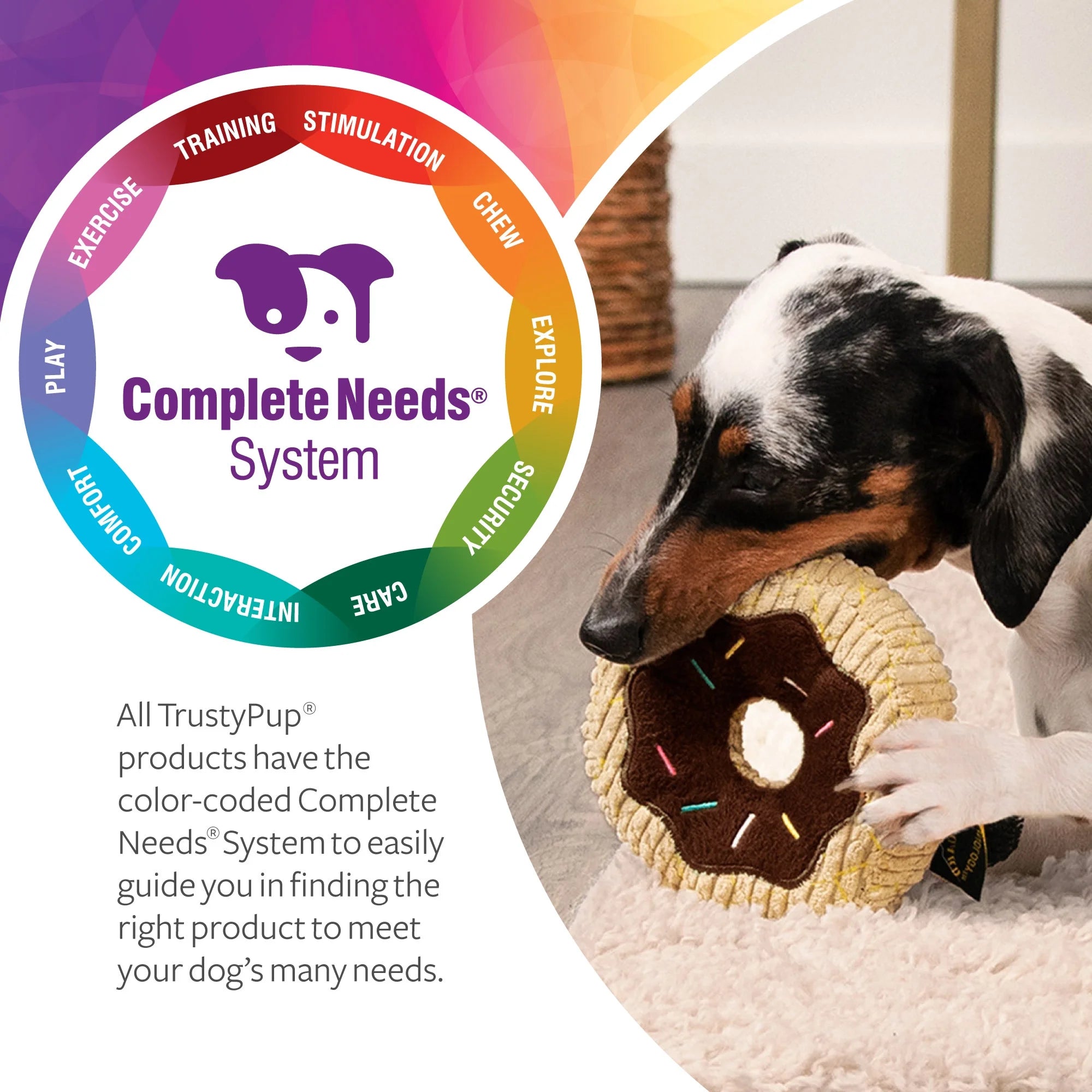 Donut Squeaky Plush Chew Guard Dog Toy, Small