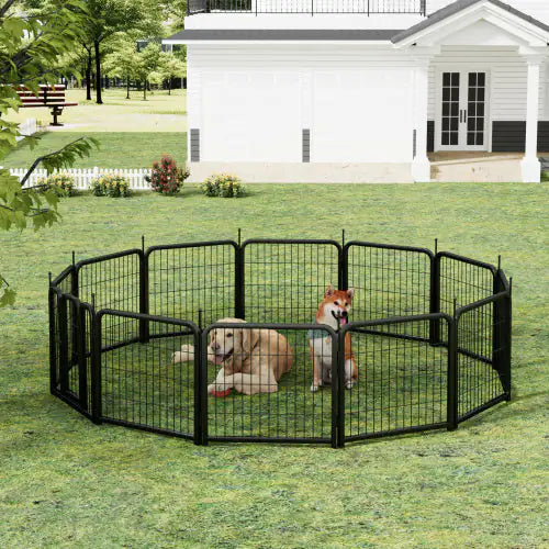 Dog Playpen Fence Outdoors