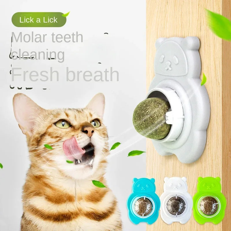 Catnip Wall Spin Ball - Natural Mint for Cats