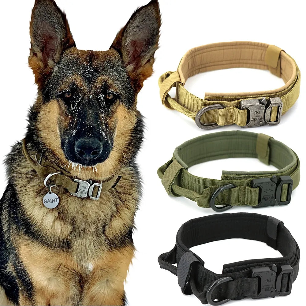 Nylon material, our heavy-duty Dog Collar.