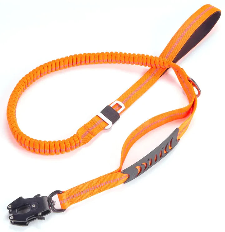 Reflective Safety Dog Lead