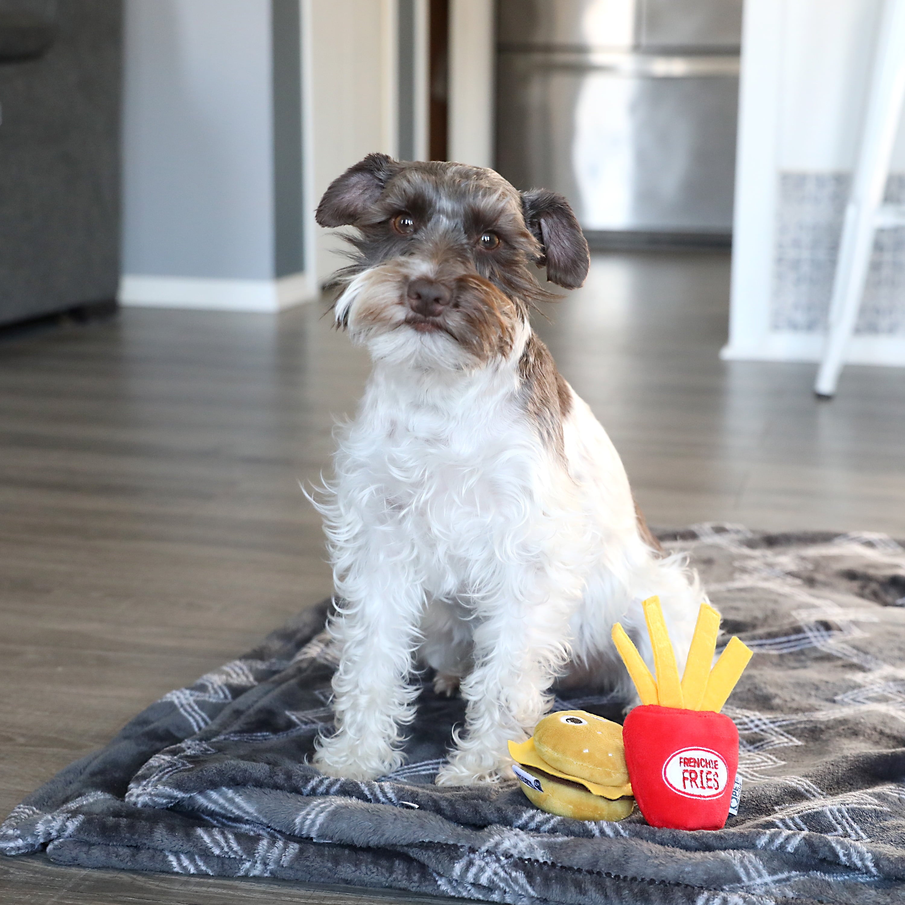 Happy Meal Plush Squeaky Dog Toys for Small Dogs, 2 Pack