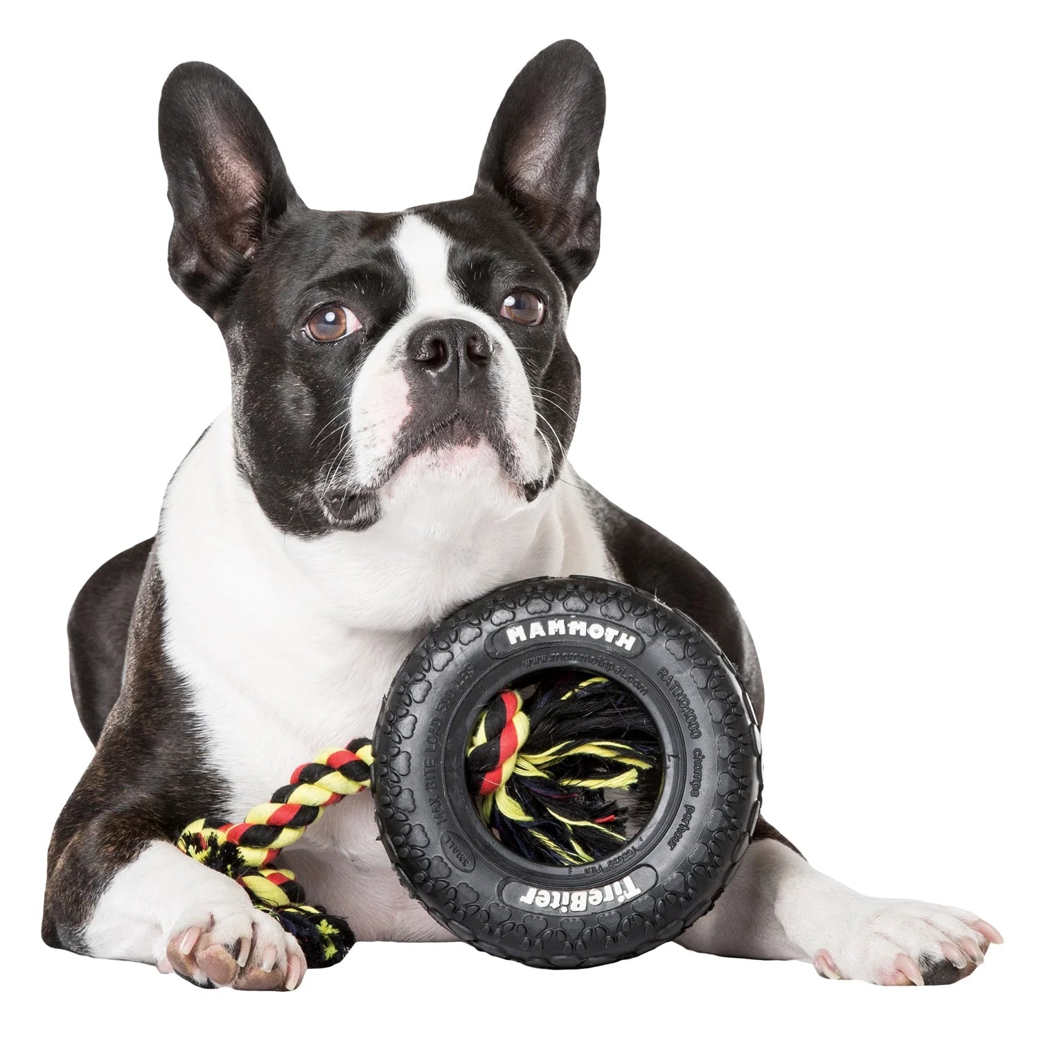 Tirebiter Original Rubber Dog Toy with Cottonblend Assorted Color Rope, Small 6