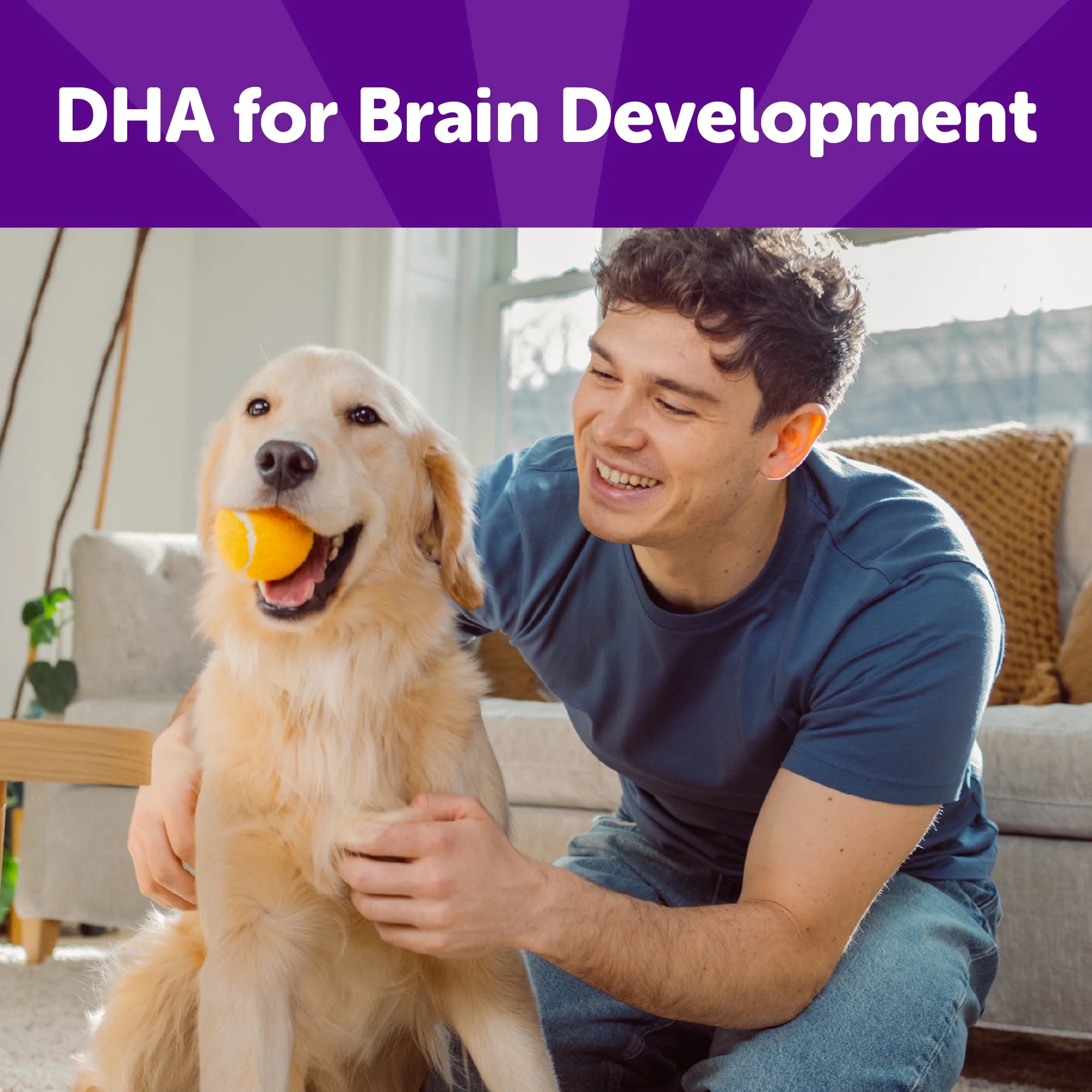 Rewarding Life Dog Treats, Natural, Training Treat, Grain Free, Soft Chicken & Venison (6 Ounce Bag)