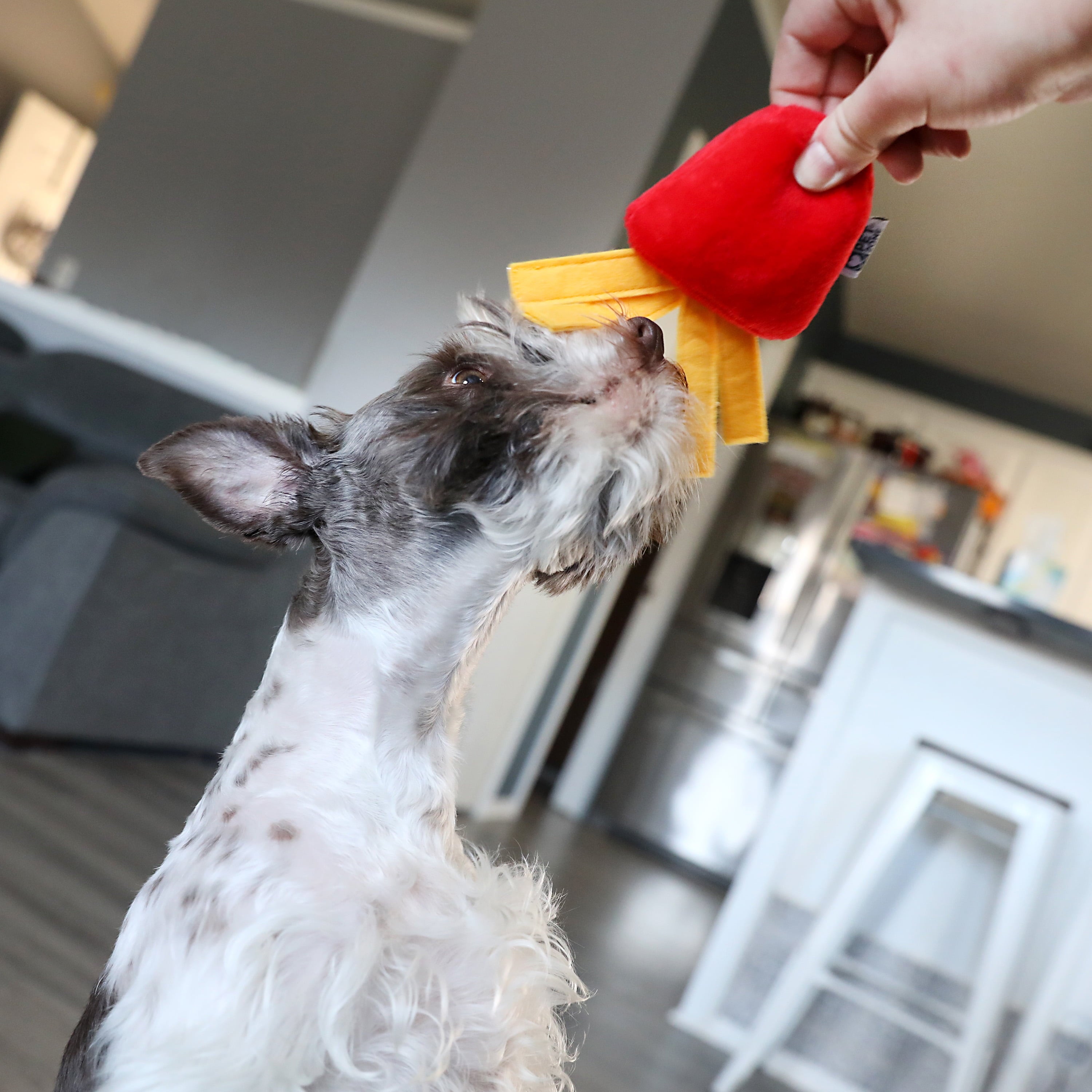 Happy Meal Plush Squeaky Dog Toys for Small Dogs, 2 Pack