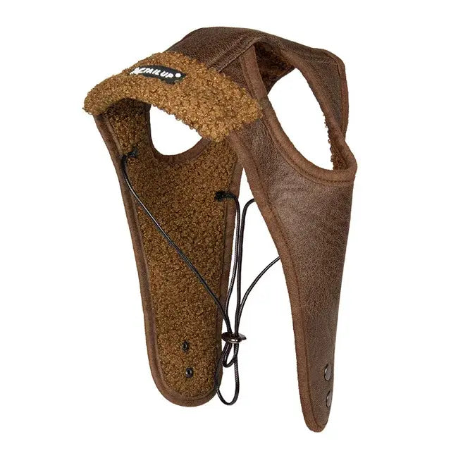 Winter Pet Dog Hat to Shield Your Canine