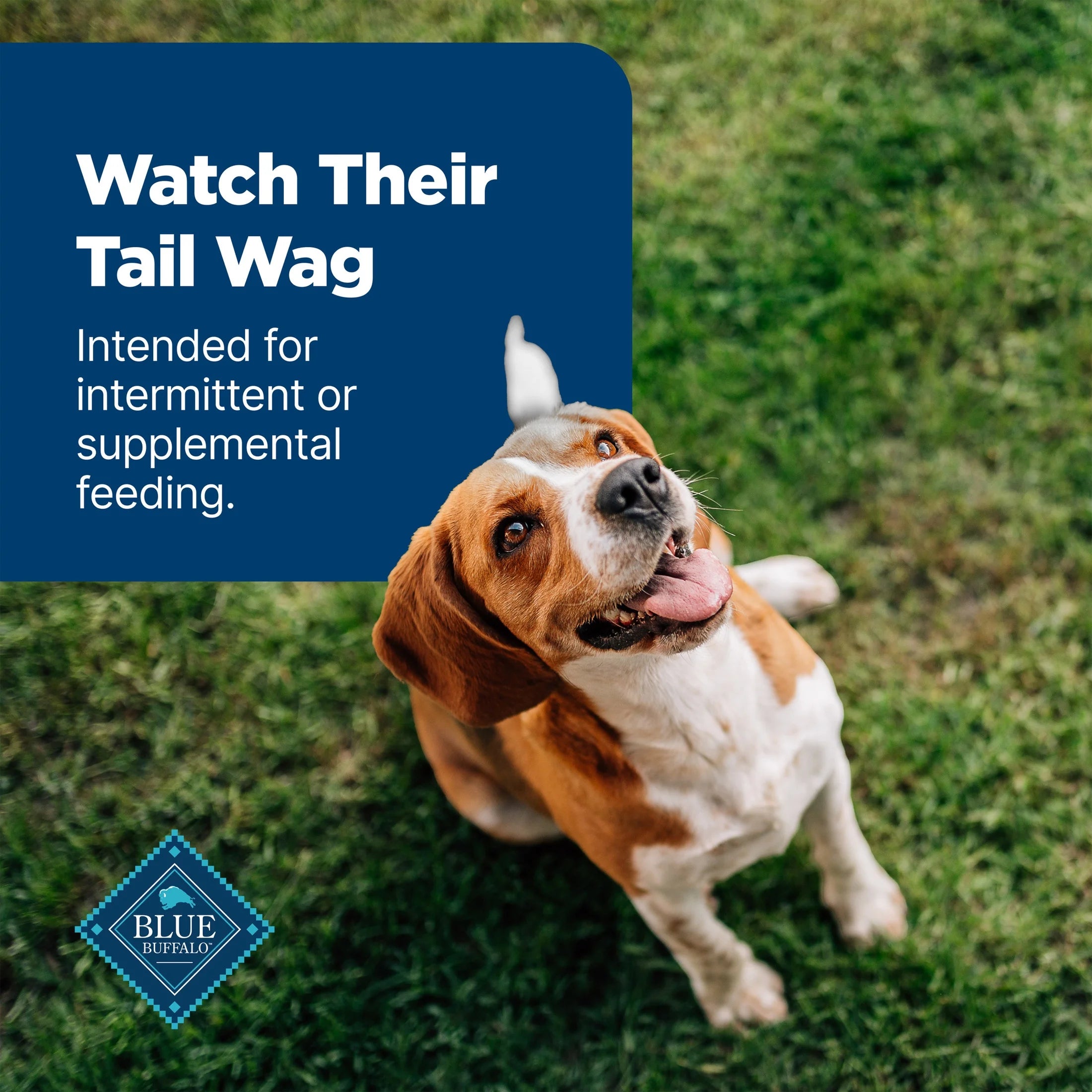 Nudges Grillers Natural Dog Treats Made with Real Chicken, 16-Oz. Bag