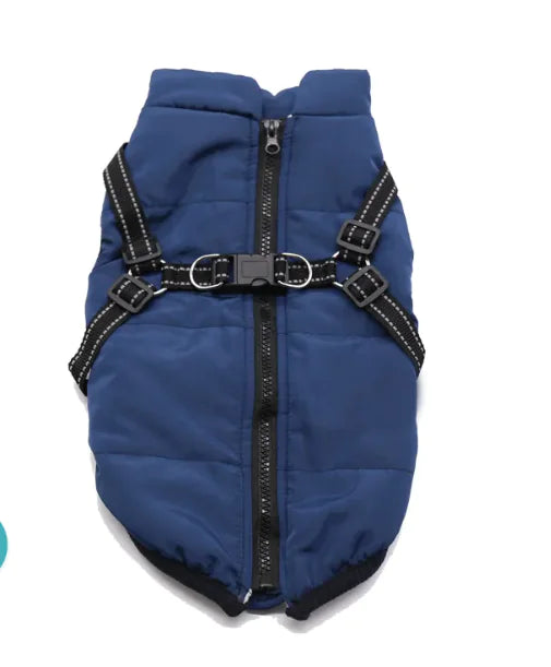 Winter Dog Cotton Coat, made from soft and warm cotton