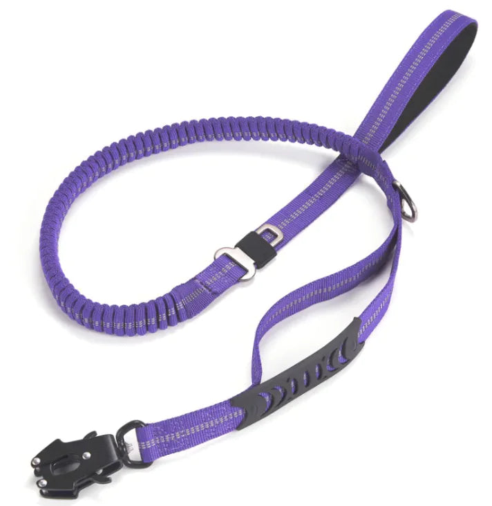 Reflective Safety Dog Lead
