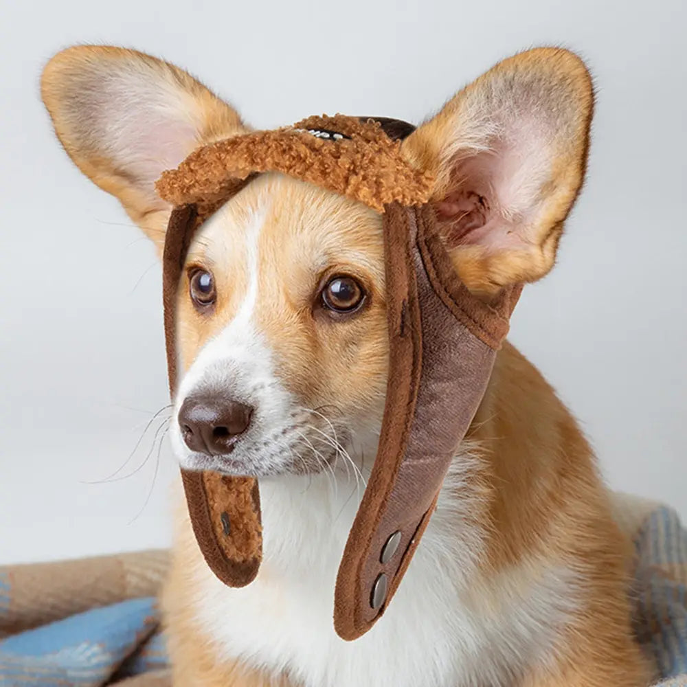 Winter Pet Dog Hat to Shield Your Canine