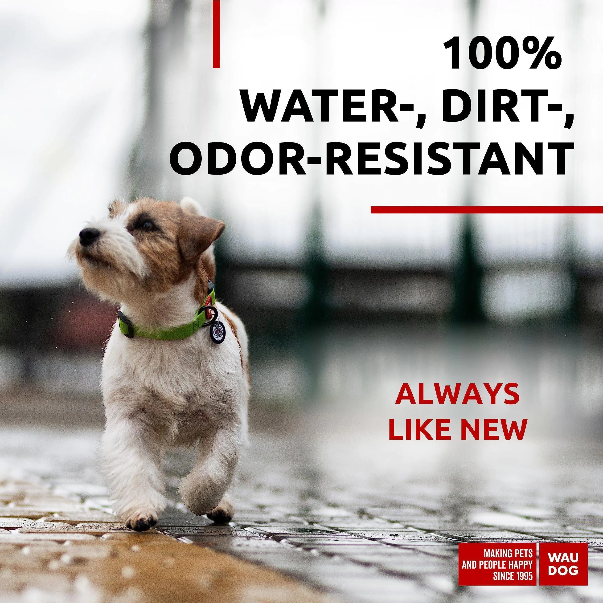 Waterproof Dog Collar Adjustable Dog Collar 914 in Neck x 3/5 in Wide