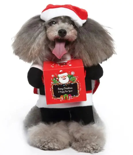 European and American Pet Clothing