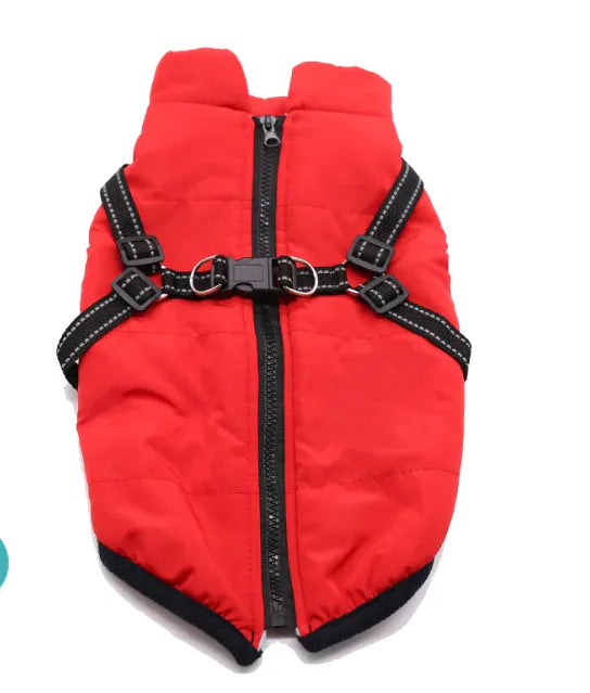 Winter Dog Cotton Coat, made from soft and warm cotton