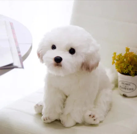 Soft Plush Dog Toy, Delight in the comfort and charm of this soft plush dog toy,