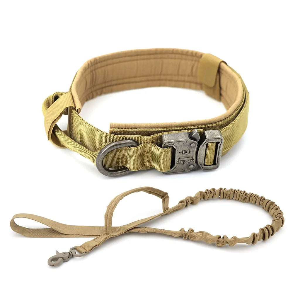 Nylon material, our heavy-duty Dog Collar.
