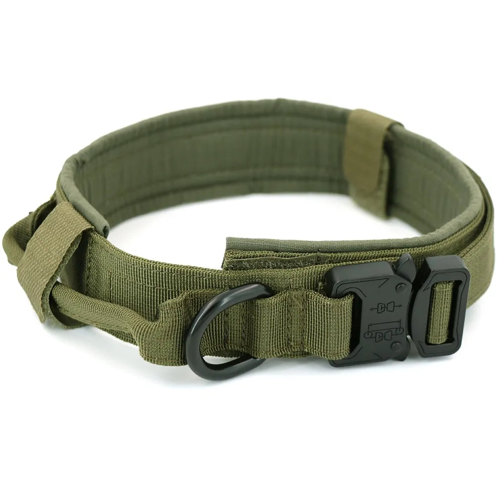 Nylon material, our heavy-duty Dog Collar.