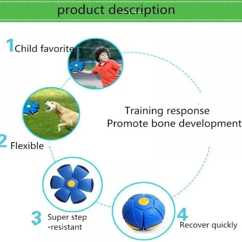 Burn Up Some of The Energy with a Flying UFO Dog Toy