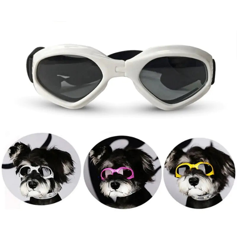 Dog Sunglasses Protect your Furry Friend's Eyes from the Sun and Wind