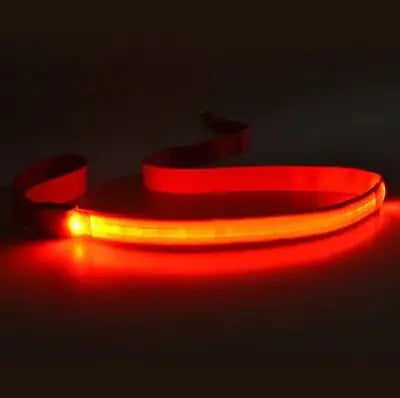 LED Dog Leash Rope Keep your furry friend safe and stylish during the nighttime