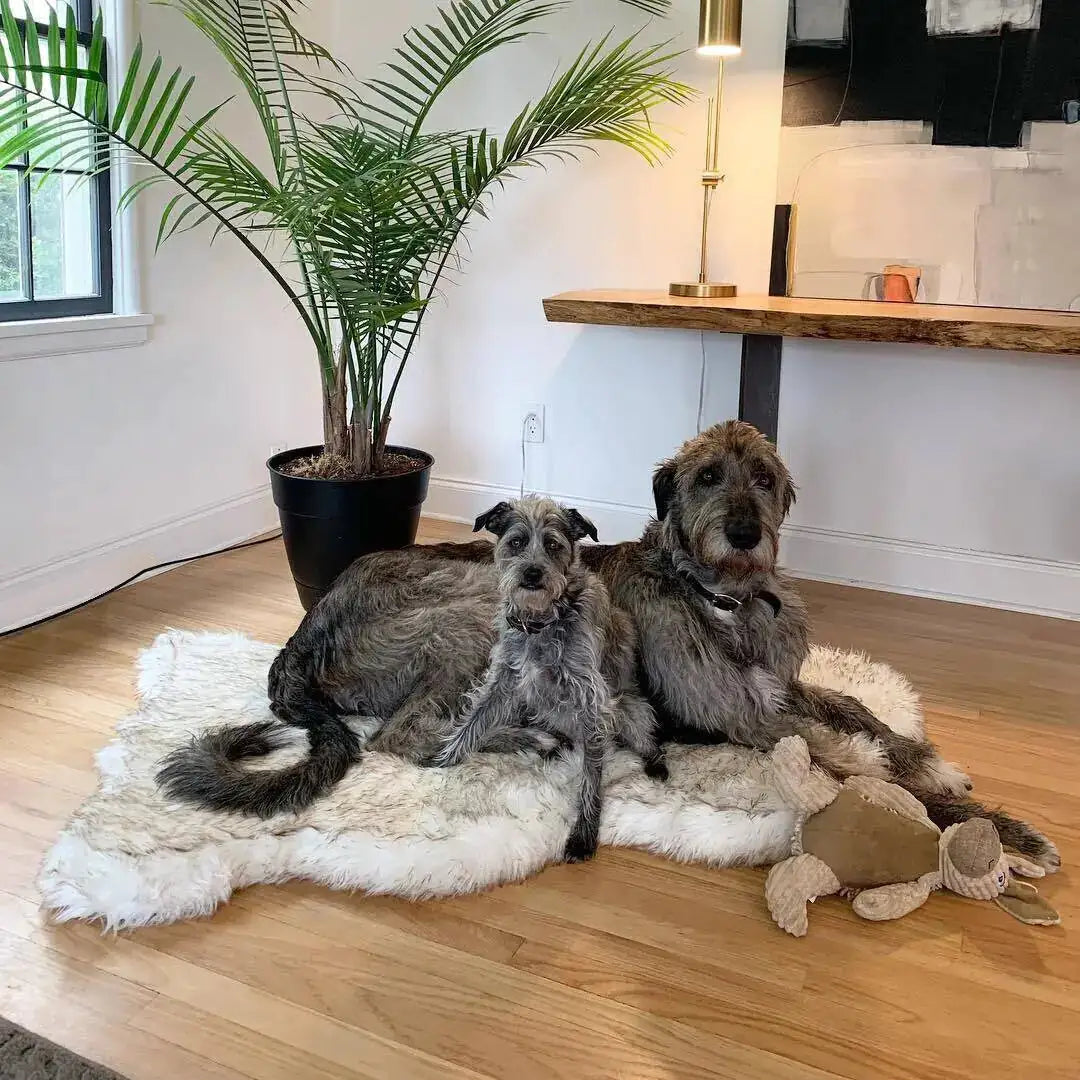 Spoil Your Dog with Faux Fur Dog Bed