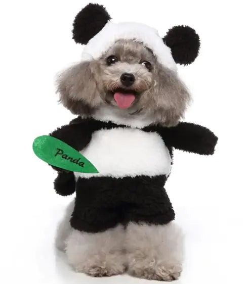 European and American Pet Clothing