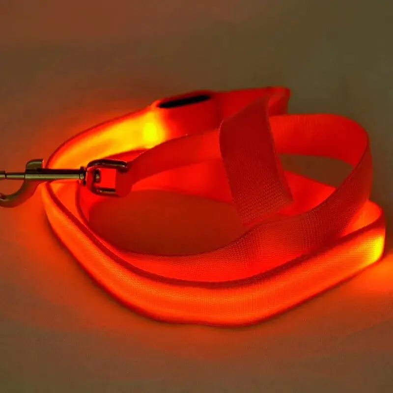 LED Dog Leash Rope Keep your furry friend safe and stylish during the nighttime