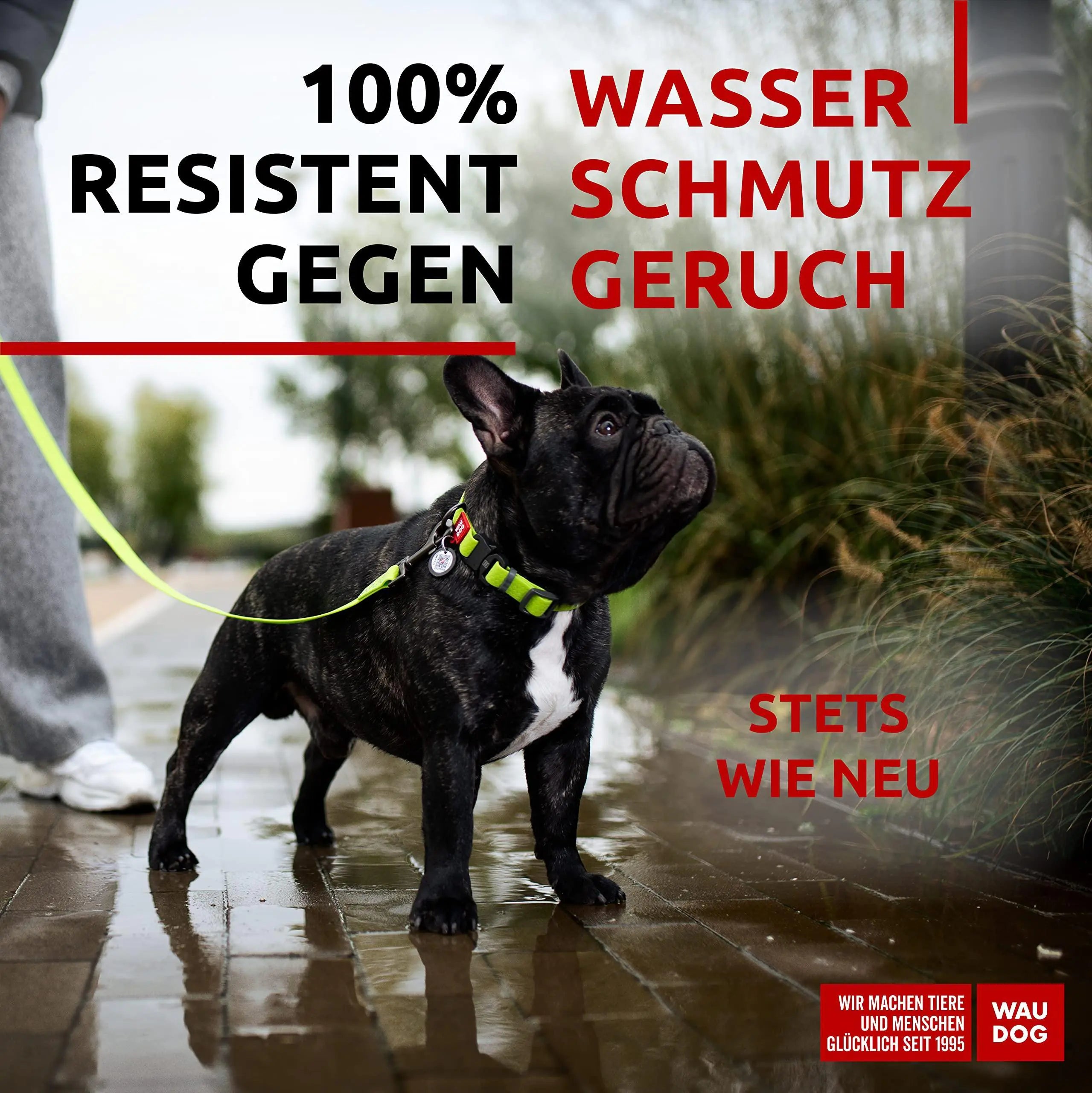 Green Waterproof Dog Collar Adjustable Dog Collar for Medium Dog 1016 inch Neck