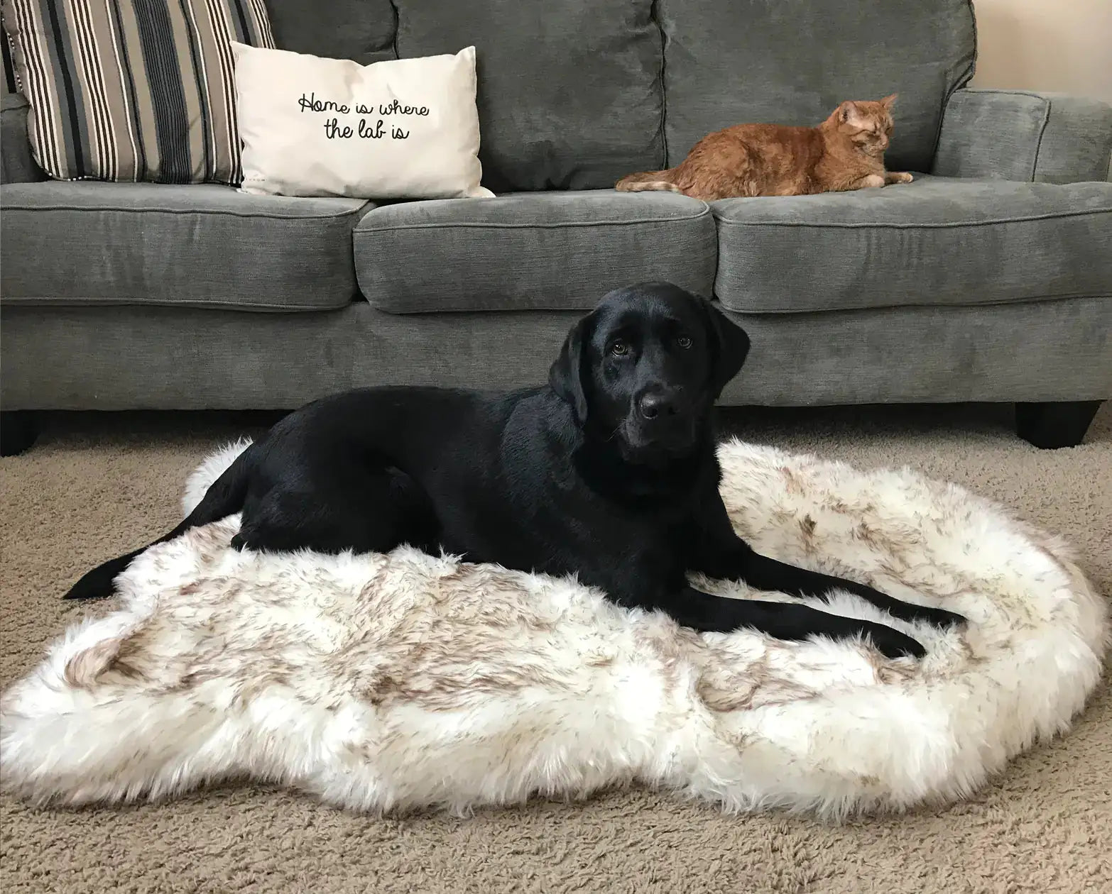 Spoil Your Dog with Faux Fur Dog Bed