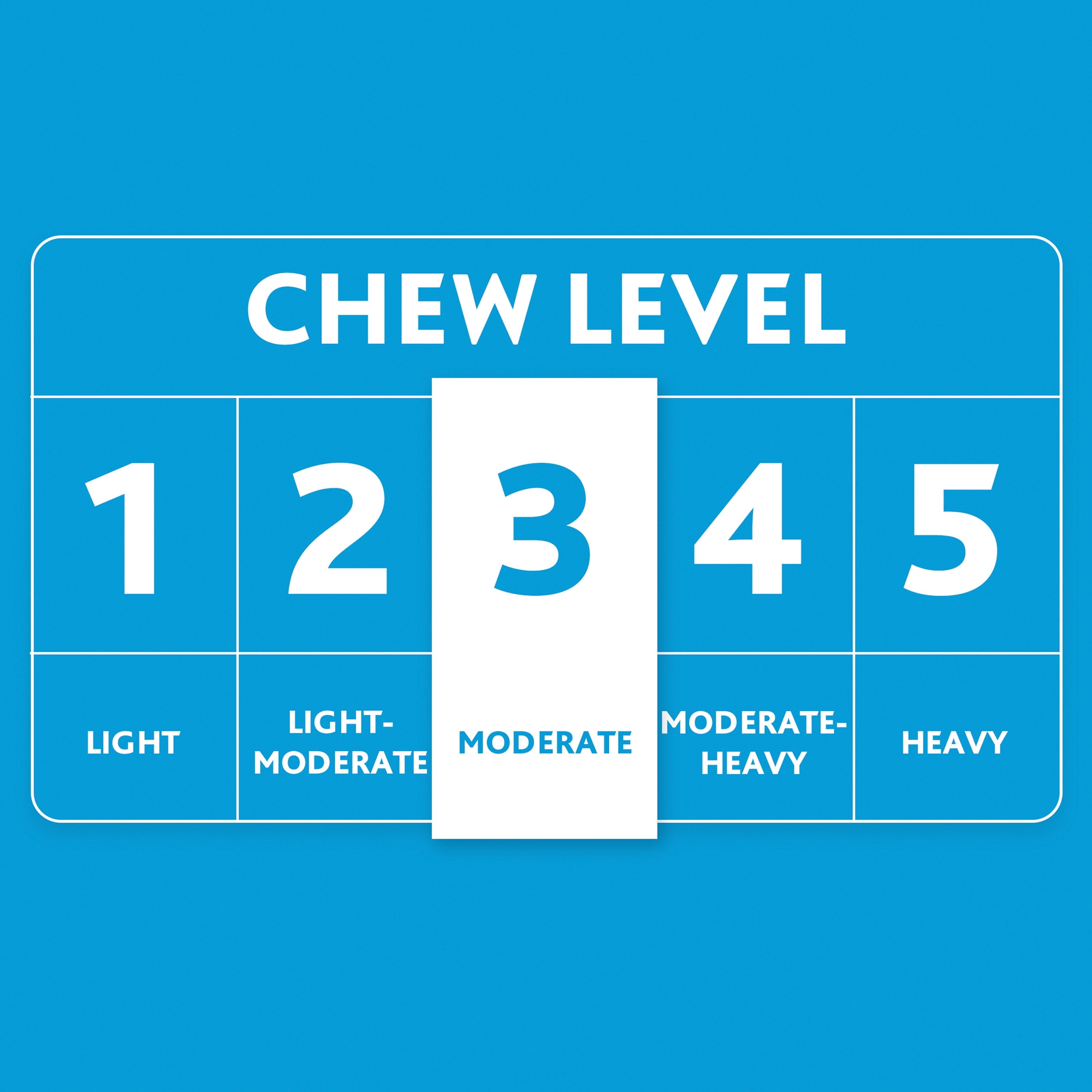 Plush Dog Toys, Donkey