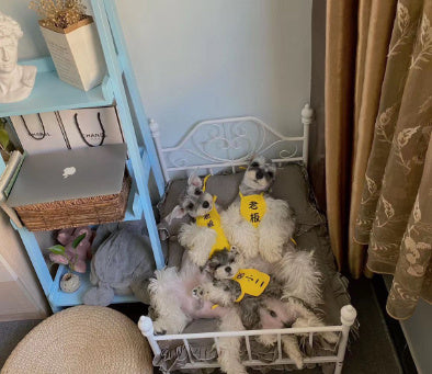 Full Dog Bed Swing Cradle Pet Hanger for Dogs and Cats