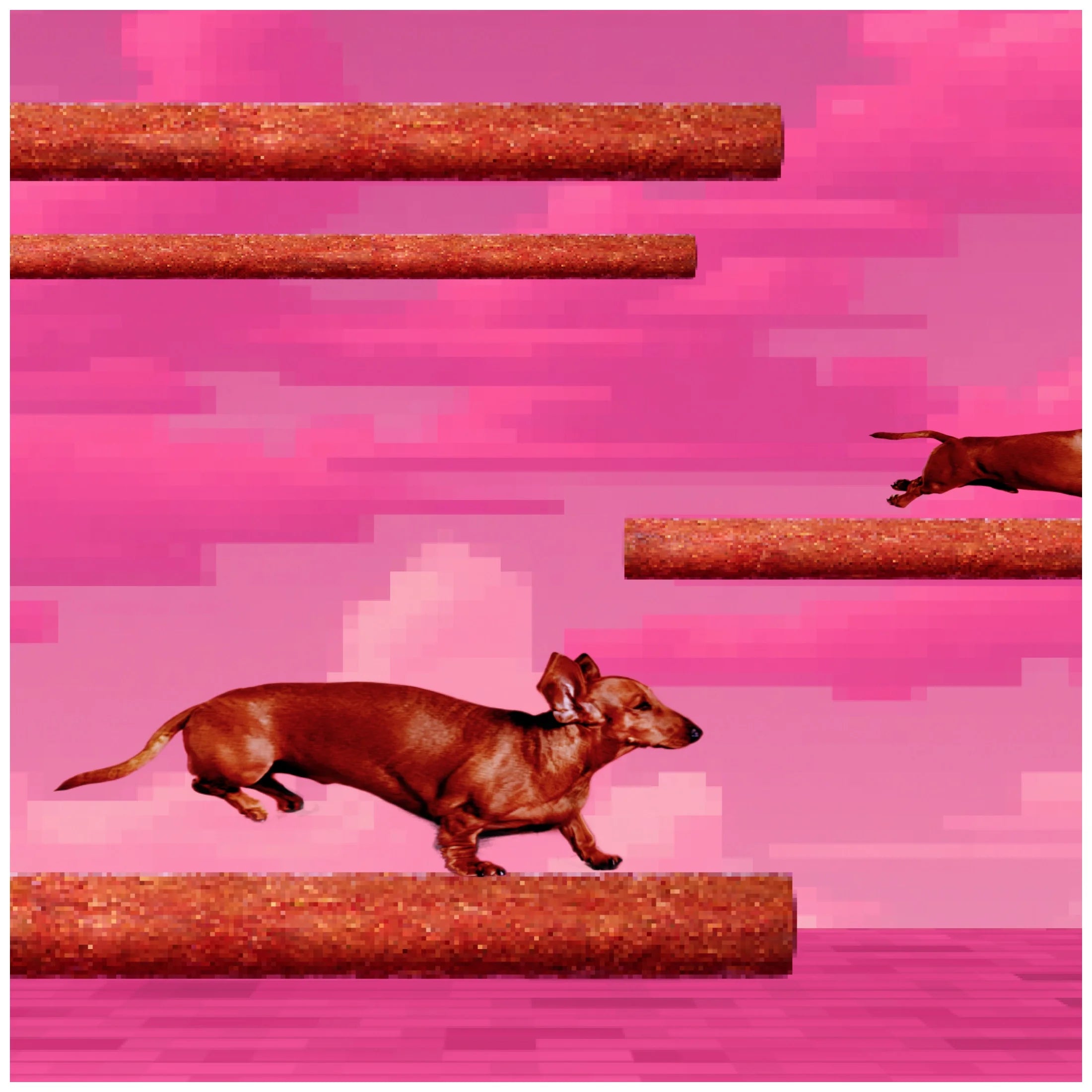 Zoomers Dog Treats, Smoky Bacon Flavor, Soft & Chewy Dog Snacks, Treats for Dogs, 22 Oz Bag