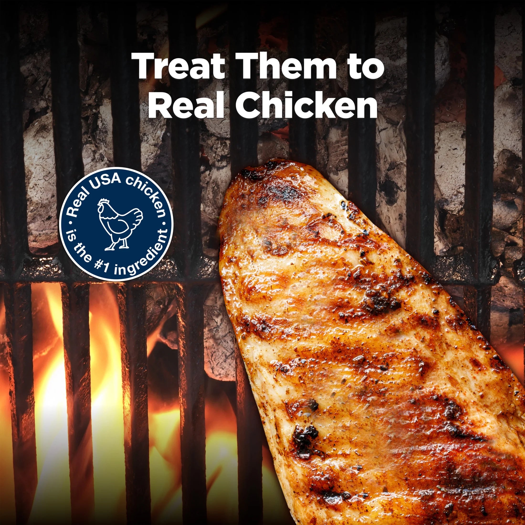 Nudges Grillers Natural Dog Treats Made with Real Chicken, 16-Oz. Bag