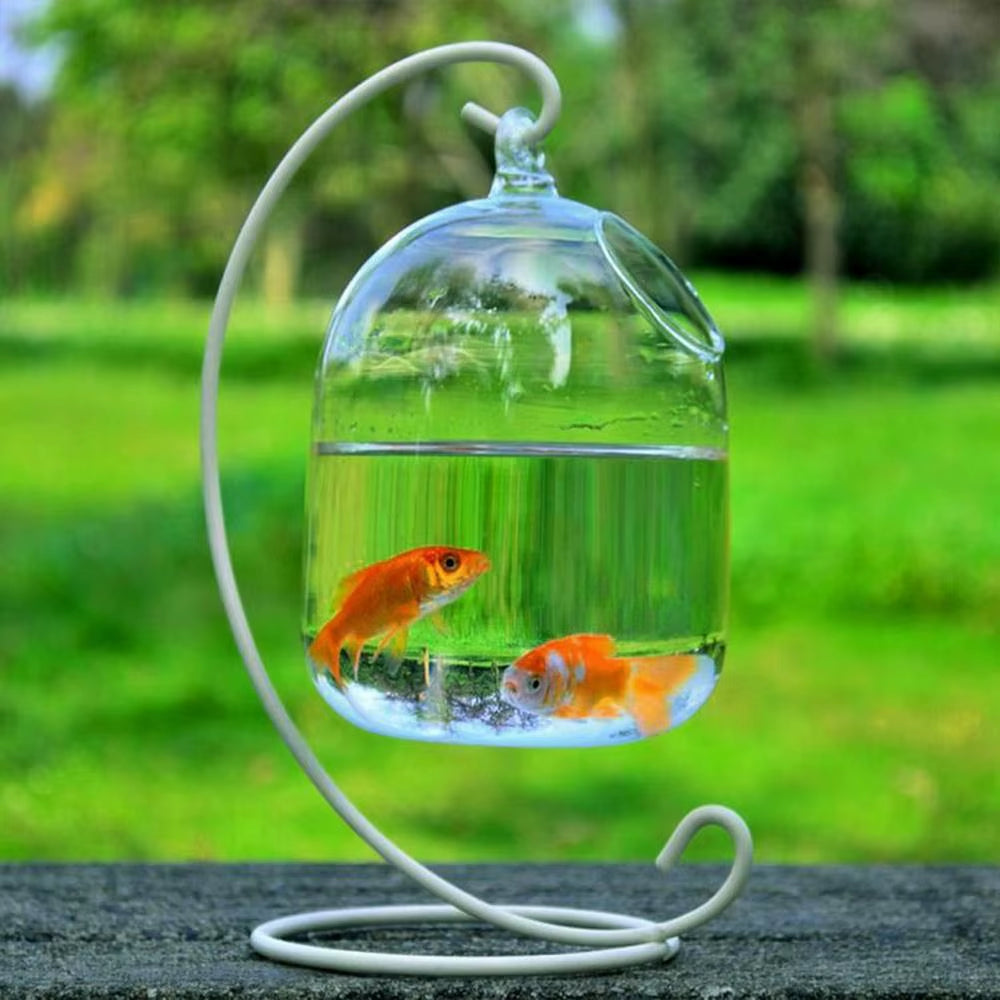 Round/Rectangle Shape Hanging Glass Aquarium Fish Tank Fish Bowl Transparent Vase Ornament with Rack Holder Home Decoration