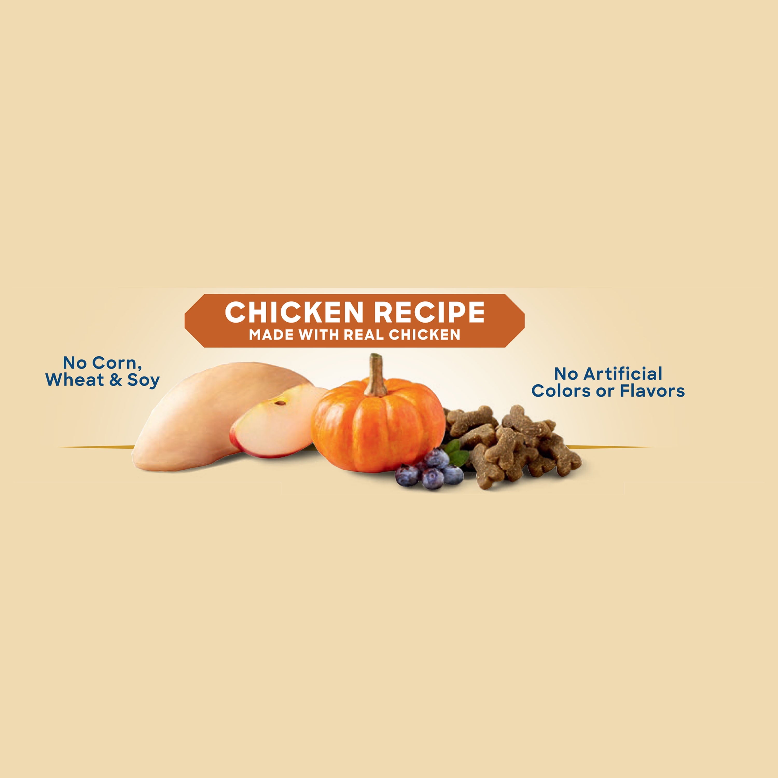 Chicken Recipe Training Treat Dog Treats, 9 Oz