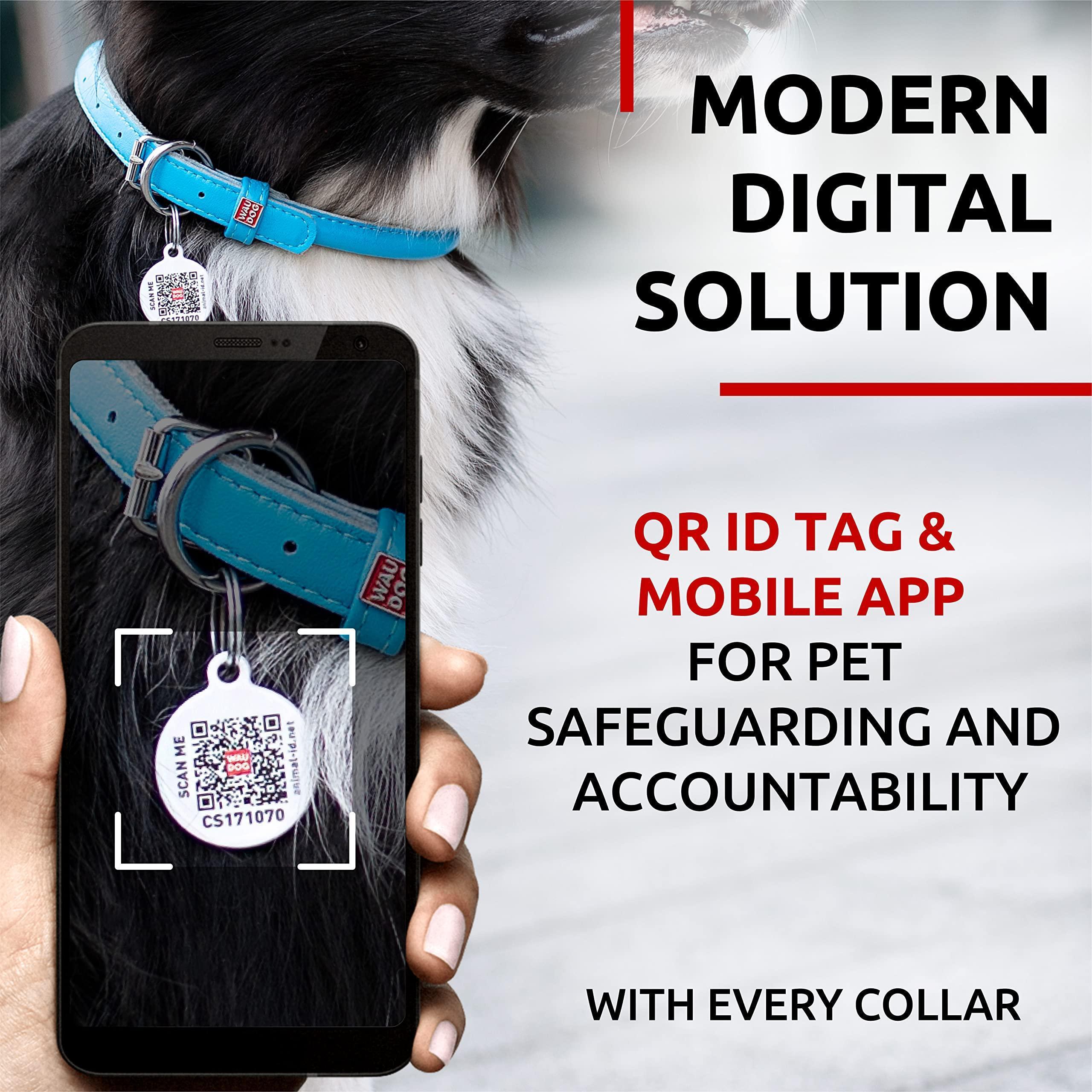 Ultra Soft Rolled Leather Dog Collar for Small Dogs Soft Padded Dog Collars for Medium Dogs Puppy Collars for Large Breed Dogs Male and Female Dog Collar