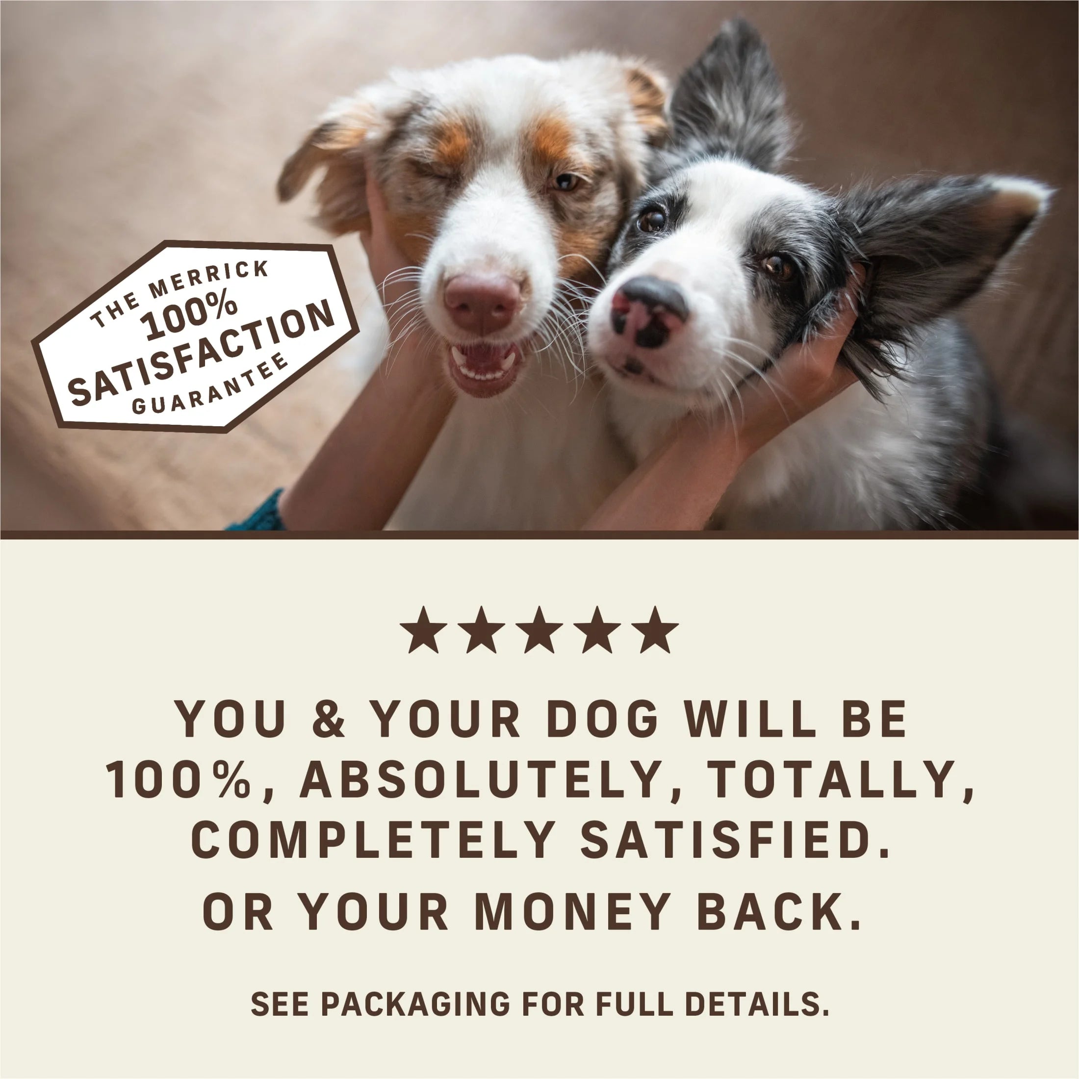 Power Bites Natural Soft and Chewy Real Meat Dog Treats, Grain Free Snack with Real Beef Recipe, 6 Oz. Bag