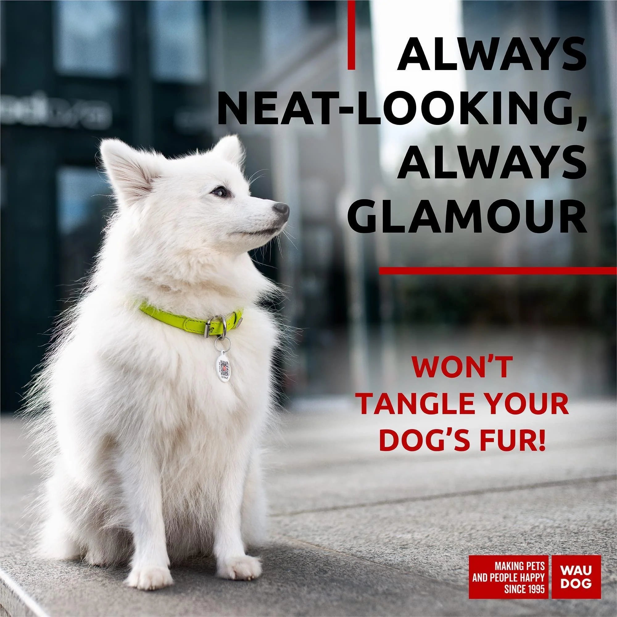 Ultra Soft Rolled Leather Dog Collar for Small Dogs Soft Padded Dog Collars for Medium Dogs Puppy Collars for Large Breed Dogs Male and Female Dog Collar