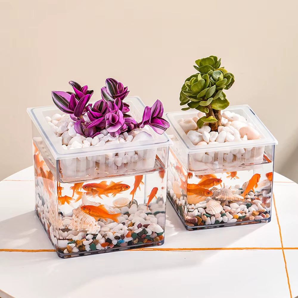 Desktop Aquarium Square Fish Bowl with Plant Holder Mini Eco Fish Tank Table Aquascaping Set for Office Home Decor Hydroponics